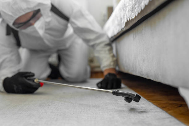 Professional Cockroach Control technician working in Hays, NC