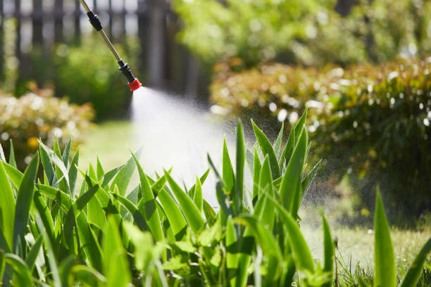 24/7 Emergency Cockroach Control experts in Hays, NC