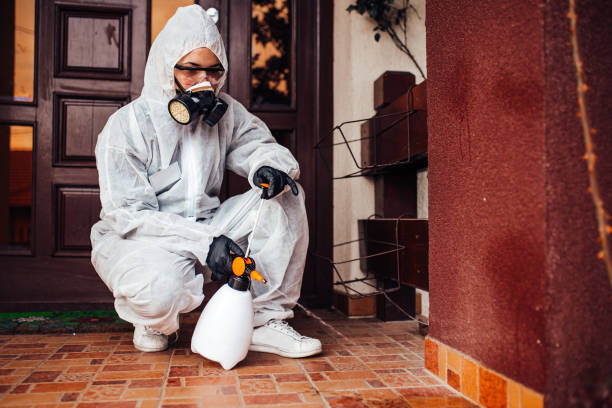 Reliable Cockroach Control contractor in Hays, NC by Nex Pest Control